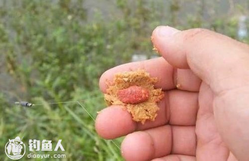 包食钓法的饵料制作和应用技巧