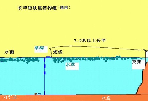 长竿短线戳草洞的四季钓法