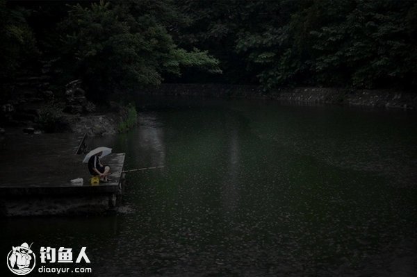 雨后夜钓的用饵技巧及夜钓灯用法