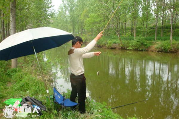 适合钓浮的鱼情变化和钓法技巧