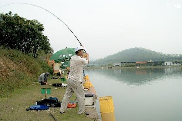 海竿多点抛投与一点抛投钓鱼的区别