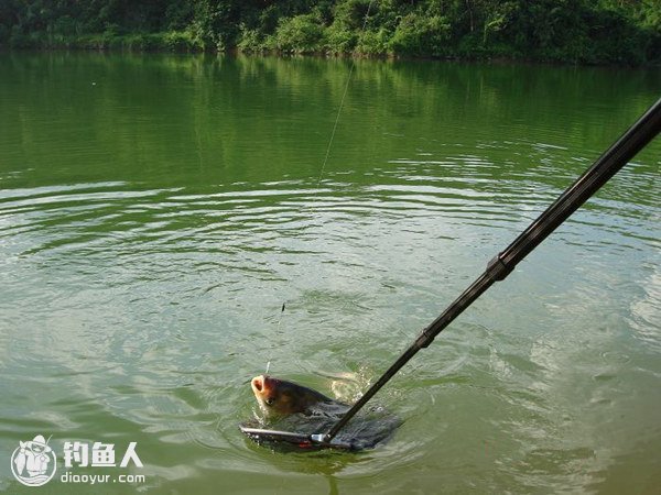 水库手竿钓鱼的选点、用饵与遛鱼技巧