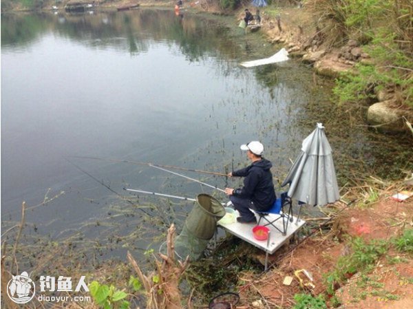 漫谈水草区野钓之全面攻略