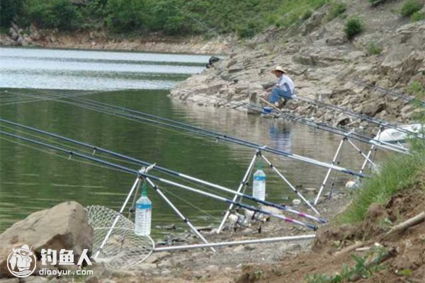 浅谈水库海竿钓鱼设伏钓法的应用