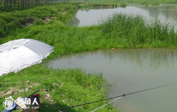 野钓达人十余年经历分享窍门