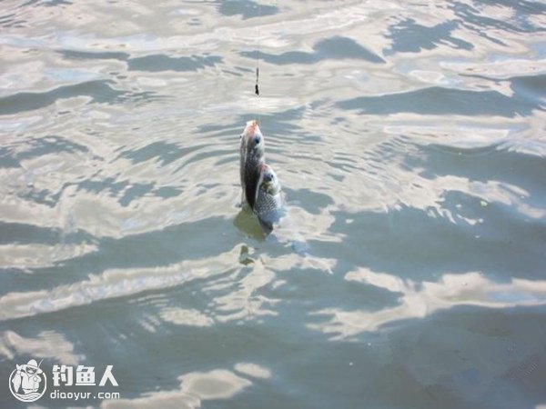 浅谈传统单、双钩线组的实际应用