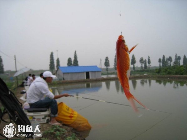 浅谈竞技钓的鱼层判断之钓法选择