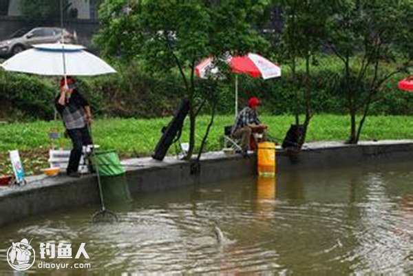 高手浅谈野钓及坑钓的经验分享