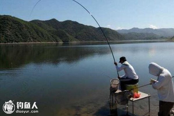 高手浅谈野钓及坑钓的经验分享