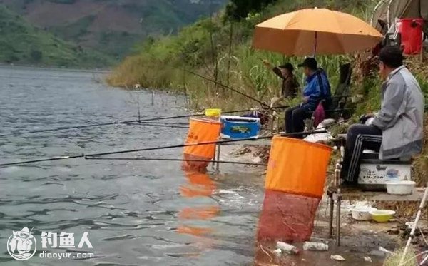 野钓湖泊水库的选钓位方法及窝料用法