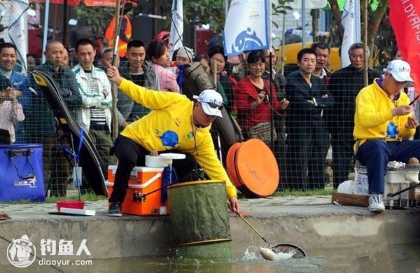 竞技速钓鲫鱼的频率把握认识