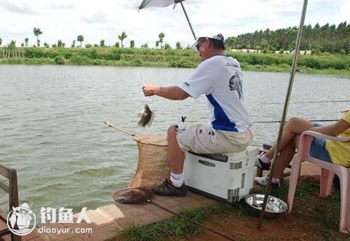 浅谈台钓浮漂上顶现象和提竿技巧