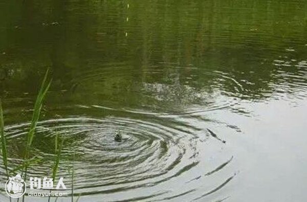 两大点教你如何掌握钓浮技巧