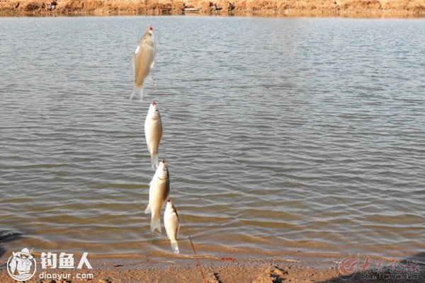 全面分析串钩钓鱼的十二个垂钓技巧