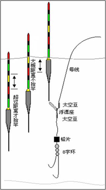 淡水钓场的钓法与钓组种类分析