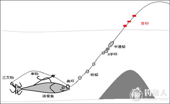 淡水钓场的钓法与钓组种类分析