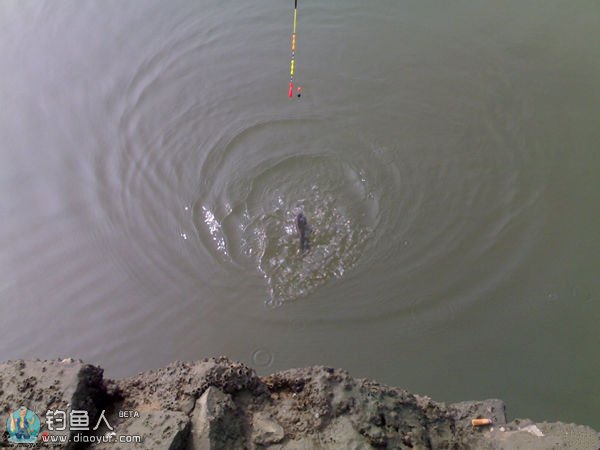 浅谈流水钓鱼的走漂钓法经验总结