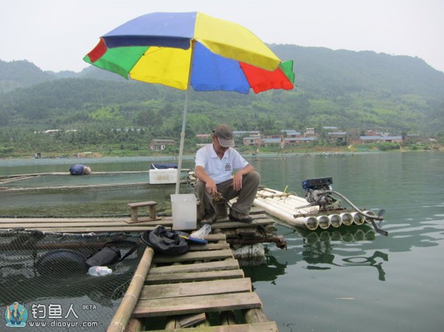 在水库网箱筏钓鲢鳙的技巧解析