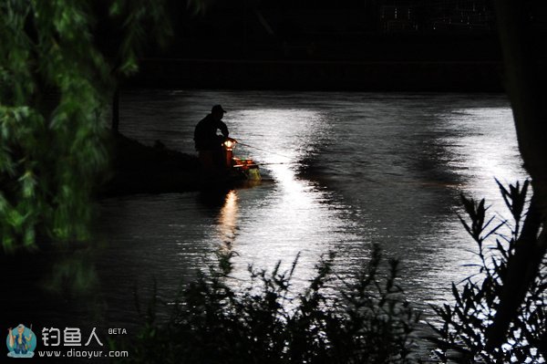 夜钓调漂技巧与传统钓在夜钓的优势