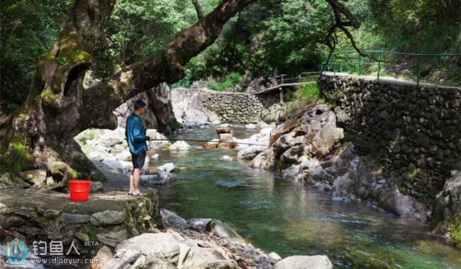 北方地区溪流钓中的跑漂钓法解析