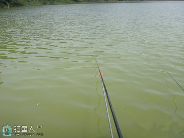 浅谈手竿无漂钓法技巧