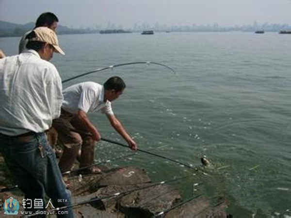 野钓水库大鱼时应当如何搭配钓具及钓组