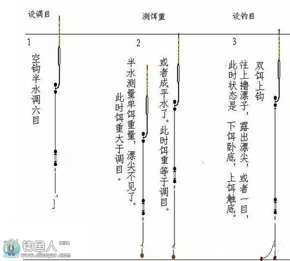 台钓新手须知基础小知识