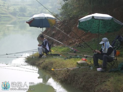 台钓法在野钓中可应对不同水情鱼情