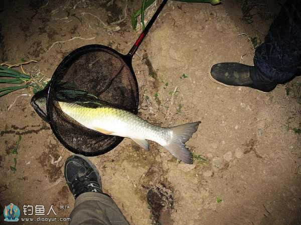 夜钓浮漂选择使用的技巧