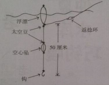 夏季筏竿野钓咂嘴鲫鱼的钓组搭配技巧