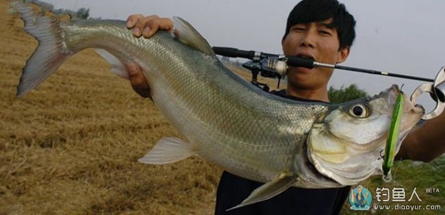 野钓时遇到风浪天气改如何应对