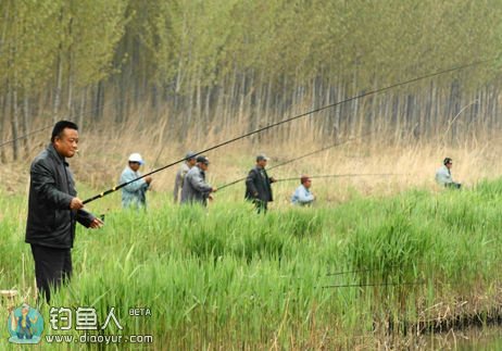 野钓时临场应变的一些例子与经验分享