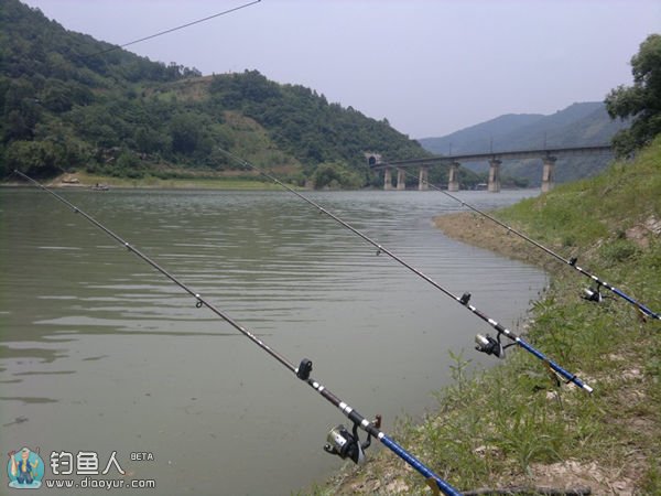 浅谈海竿钓鱼的施钓技巧