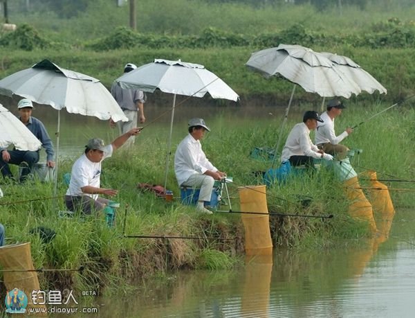 台钓中浮漂无动作的一些原因详解