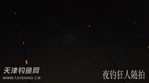 夜钓狂人的呓语