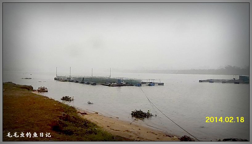 九洲江河段 提竿跨箱挥鱼雨[毛毛虫钓鱼日记]