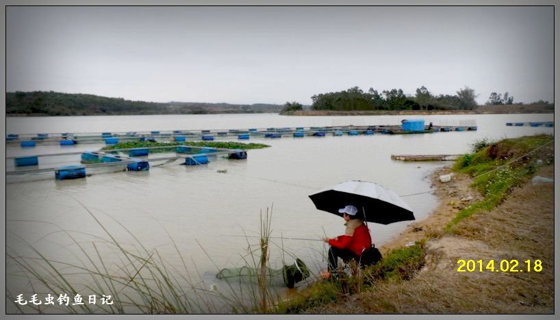 九洲江河段 提竿跨箱挥鱼雨[毛毛虫钓鱼日记]