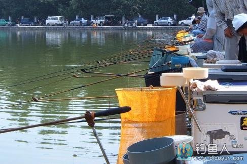 钓鱼大师详细介绍台钓的27条术语