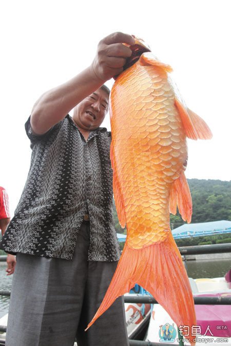 钓鱼达人浅谈野钓小妙招 大家快来看