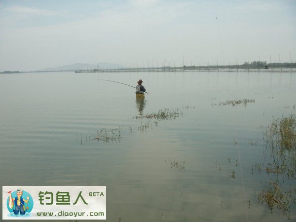 传统野钓长竿短线钓大鲤擒大鲫分享(一)