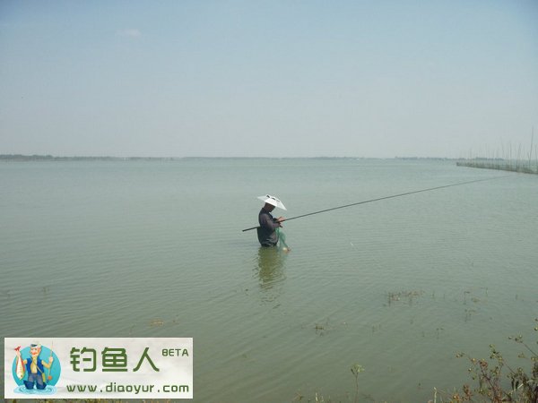 传统野钓长竿短线钓大鲤擒大鲫分享(一)