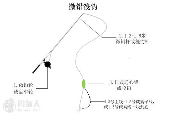 什么是微铅钓法的特征与原理详细介绍