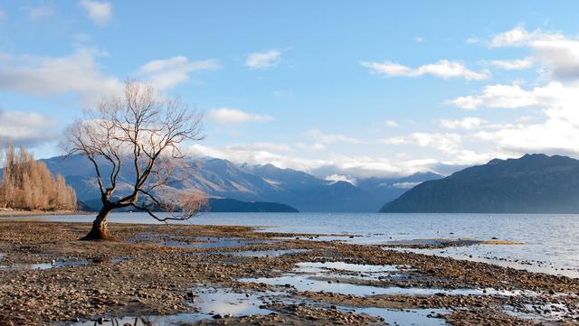 春季钓浅滩，别人连竿你不上鱼，因为钓位不是真浅滩