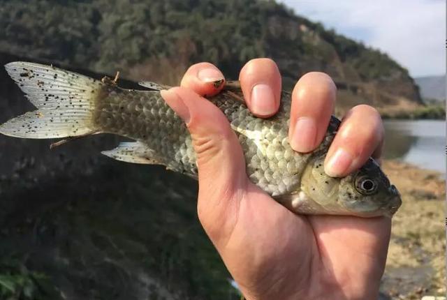 春季什么天气好钓鱼？了解天气和鱼情的关系