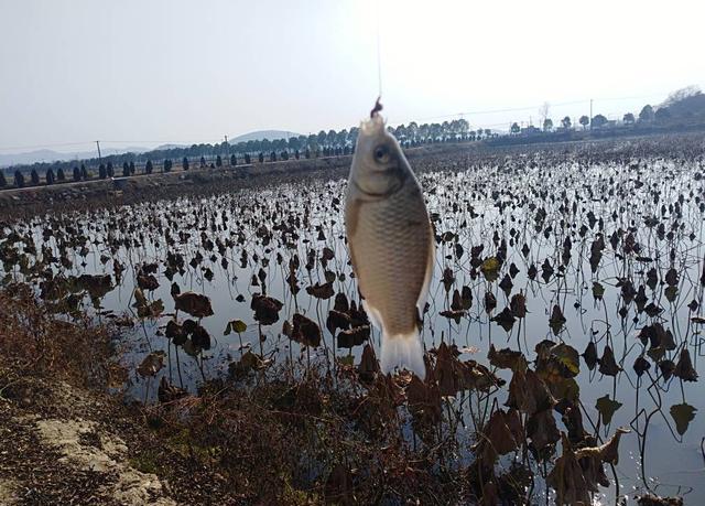 冬季钓鱼记住这“三准” 一定有所触动和收获！