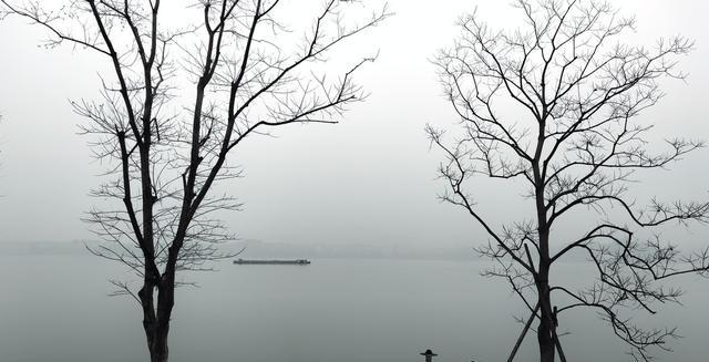 冬季钓鱼阴天、雪天、雨天虽然都好钓，但是要选时机