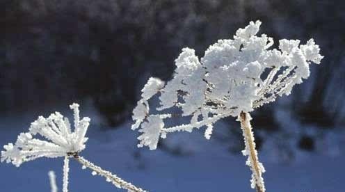 秋冬时节，霜降后和下雪前为什么容易钓鱼