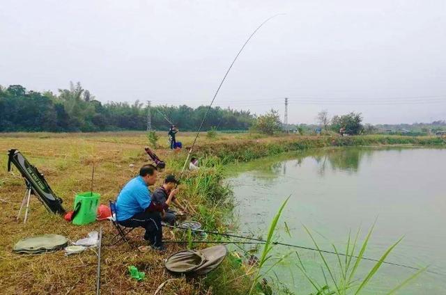 深秋时期，不好钓鱼的3种天气以及不建议出钓的原因