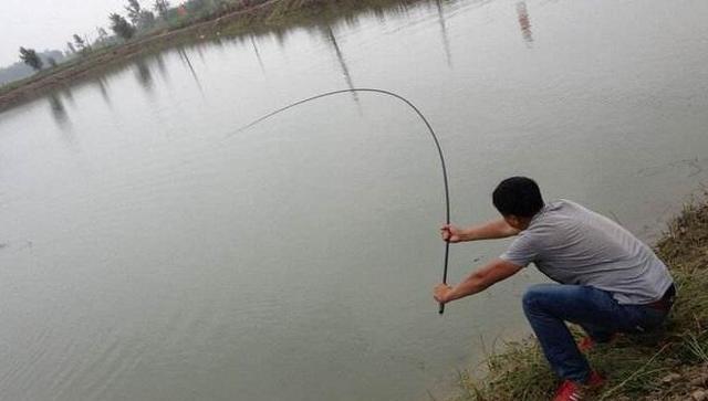 秋末钓鱼，钓深还是钓浅？选错就是浪费时间去喂鱼