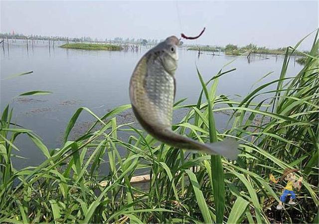 秋天的这几种天气不宜出钓，大概率会打龟